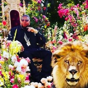 Meet your Posher, Kai